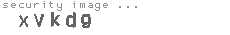 security image