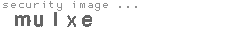security image