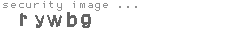 security image