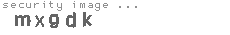 security image