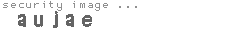 security image