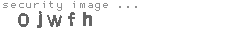 security image