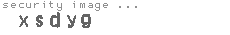security image
