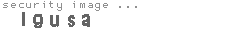 security image