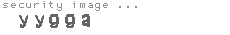 security image