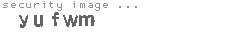 security image