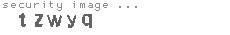security image