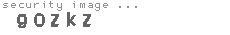 security image