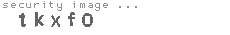 security image