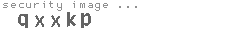 security image