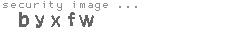 security image