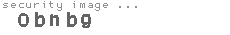 security image
