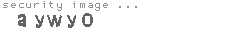 security image