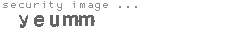 security image