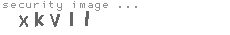security image