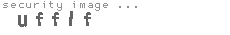 security image