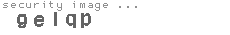security image