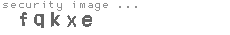 security image