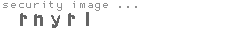 security image