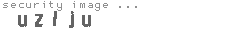 security image