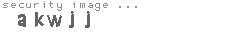 security image