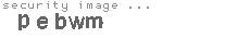 security image