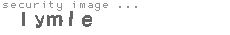 security image