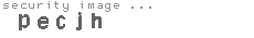 security image