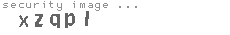 security image