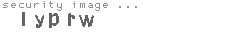 security image