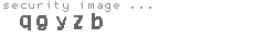 security image