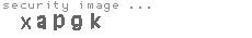 security image