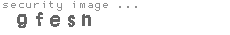security image