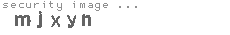security image